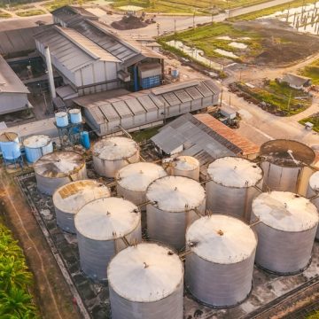 consequences-de-la-production-d-huile-de-palme-sur-l-environnement