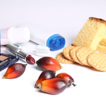 l-huile-de-palme-est-presente-dans-de-nombreux-biscuits-et-gateaux