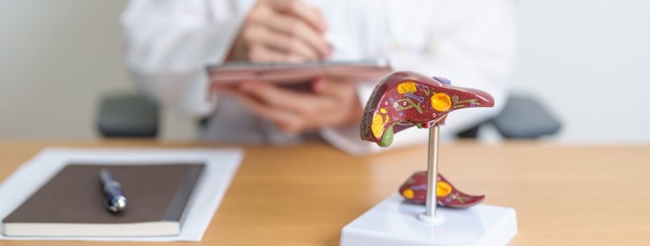 Tout savoir sur les hépatites