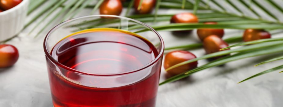 huile-de-palme-pourquoi-est-elle-controversee