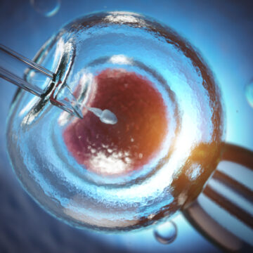 l-insemination-artificielle-dans-le-cadre-de-la-pma
